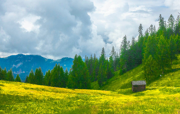 Alta Badia08035